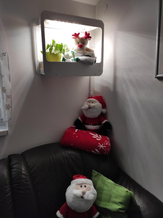 Apartman Izabela 메덜린 외부 사진